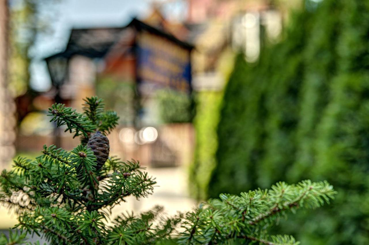 Rezydencja Bystre Zakopane Zewnętrze zdjęcie